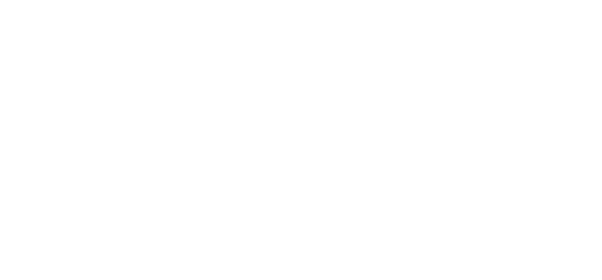 SPIN